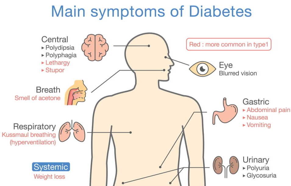 type 2 diabetes symptoms diagnosis and management (1)